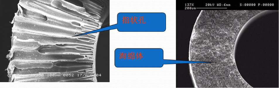 中空纖維超濾膜膜孔類型